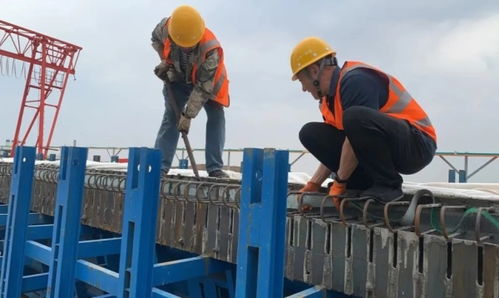 我省3條新開工高速公路項(xiàng)目建設(shè)勢(shì)頭正勁