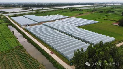 強縣工程看黃州丨黃州區(qū):大力發(fā)展現(xiàn)代農(nóng)業(yè) 推進農(nóng)業(yè)產(chǎn)業(yè)現(xiàn)代化